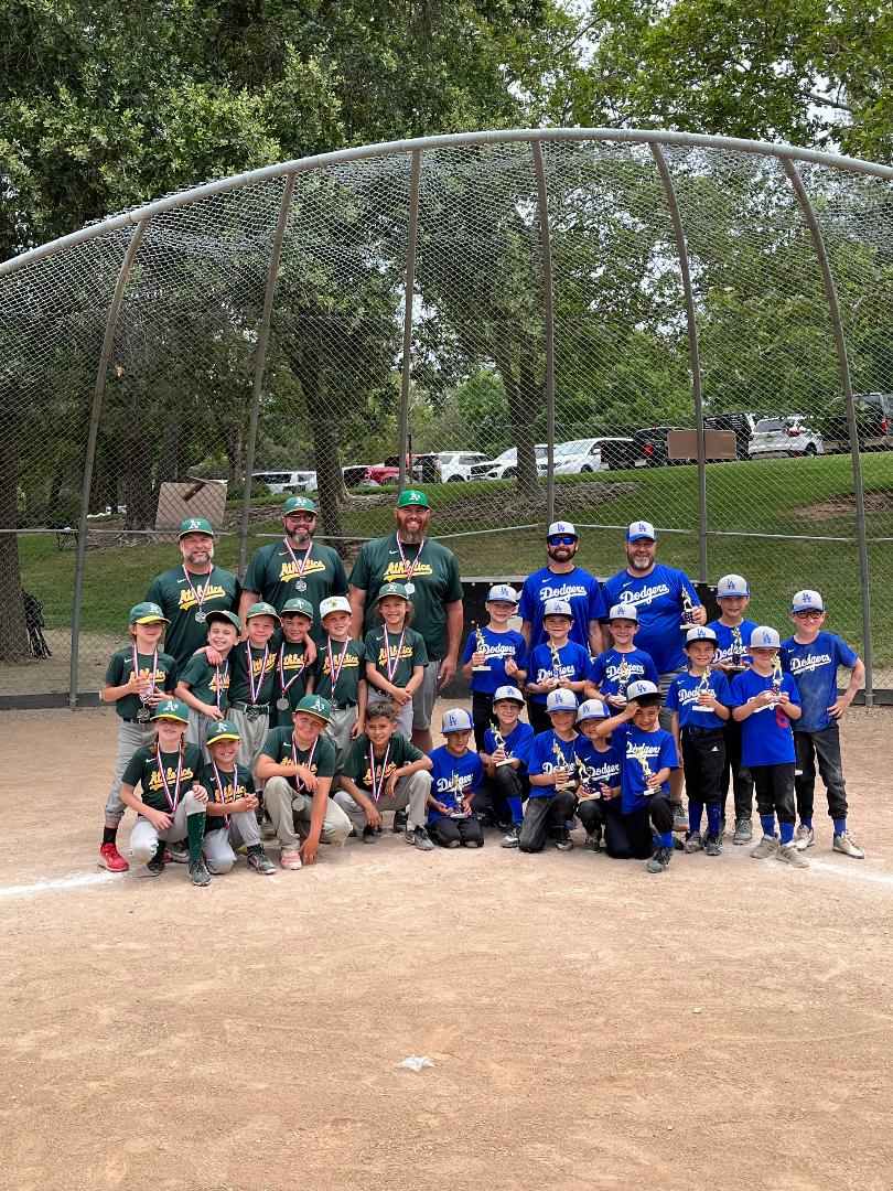 Golden Eagle Baseball > Home